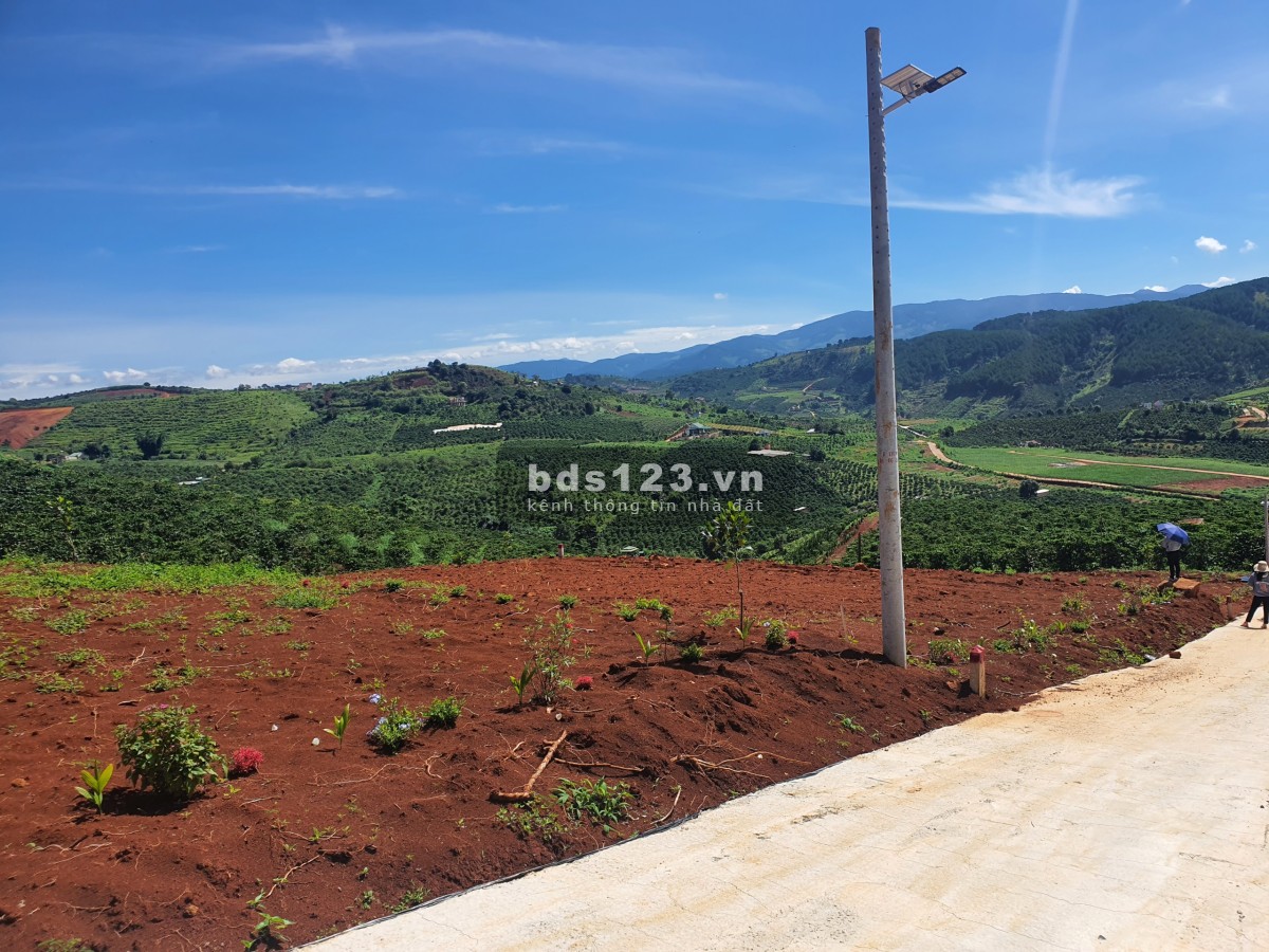 Cần bán 5 sào đất tại thôn 3,xã nam hà,huyện lâm hà,lâm đồng