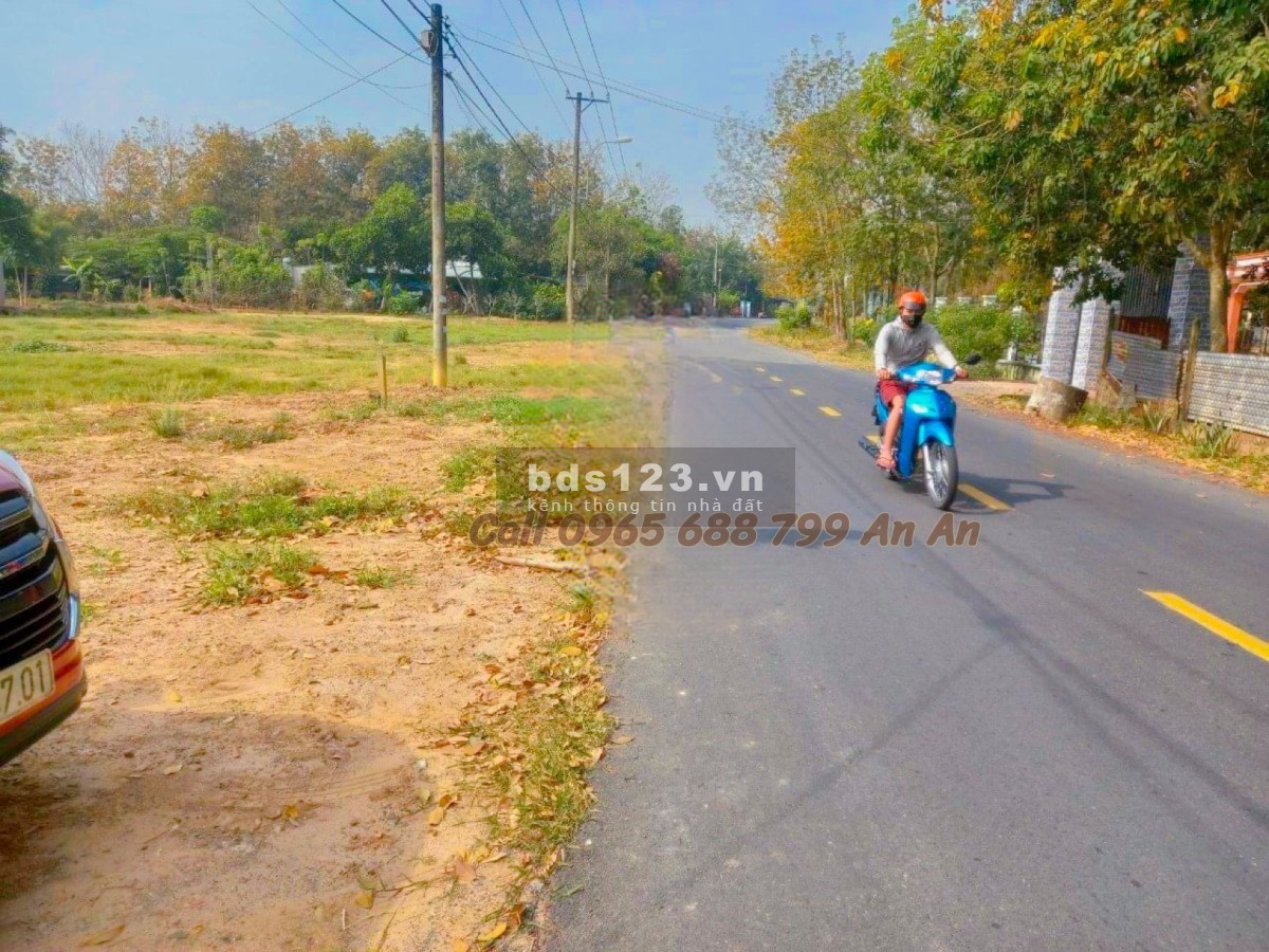 Hàng hiếm - bán gấp đất Củ Chỉ 845m² giá ngộp oxy đường nhựa 20m An Nhơn Tây Củ Chi.