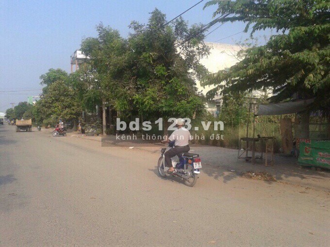 Bán lô đất ở Bình Chánh, diện tích 100m2, giấy phép xây dựng sẵn