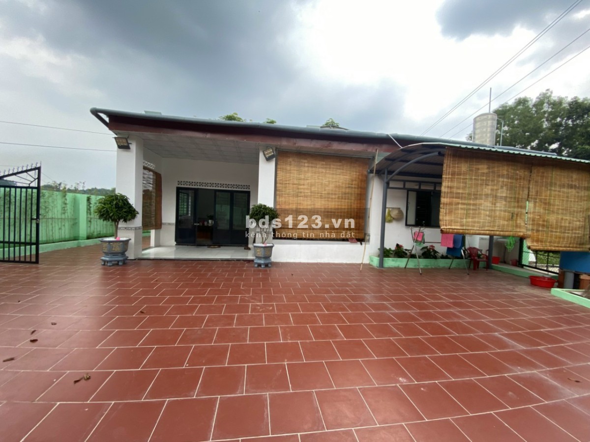 Bán đất Bình Dương. Vỡ nợ ngân hàng nên cần bán gấp nhà cấp vườn xây tâm huyết