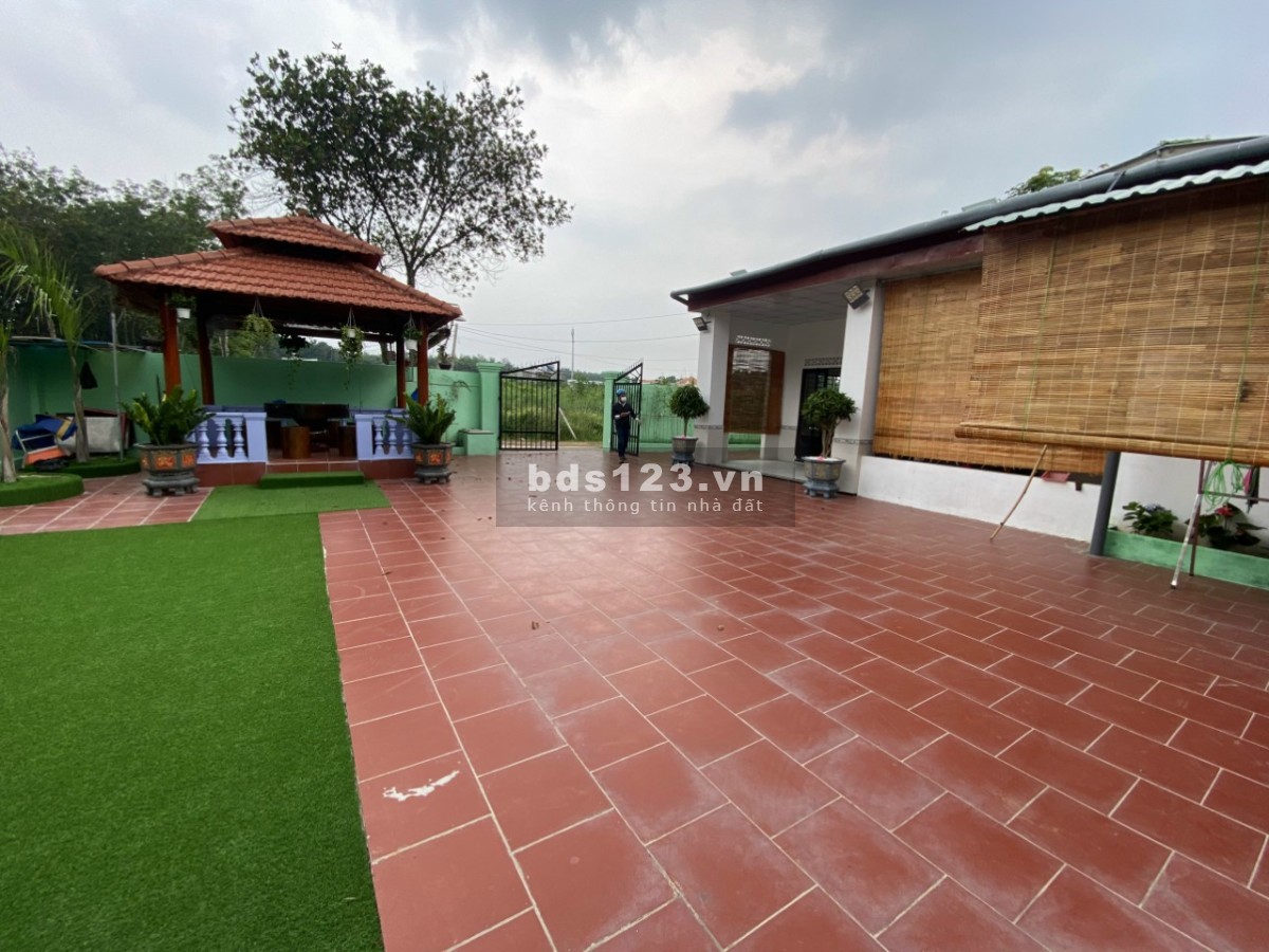Bán đất Bình Dương. Vỡ nợ ngân hàng nên cần bán gấp nhà cấp vườn xây tâm huyết