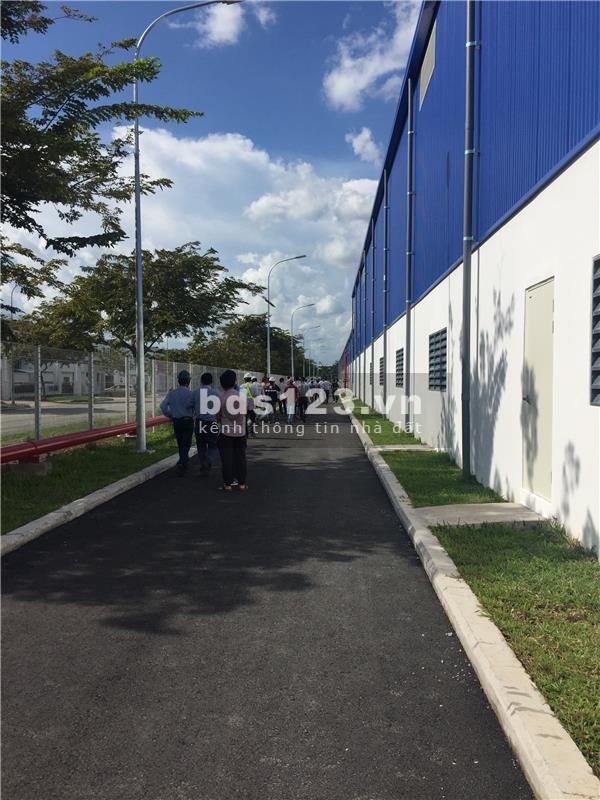 Bán gốc 2 mặt tiền nhựa 32m2, dt 800m2 thổ, sổ hồng riêng khu dân đông. lh 0901775755