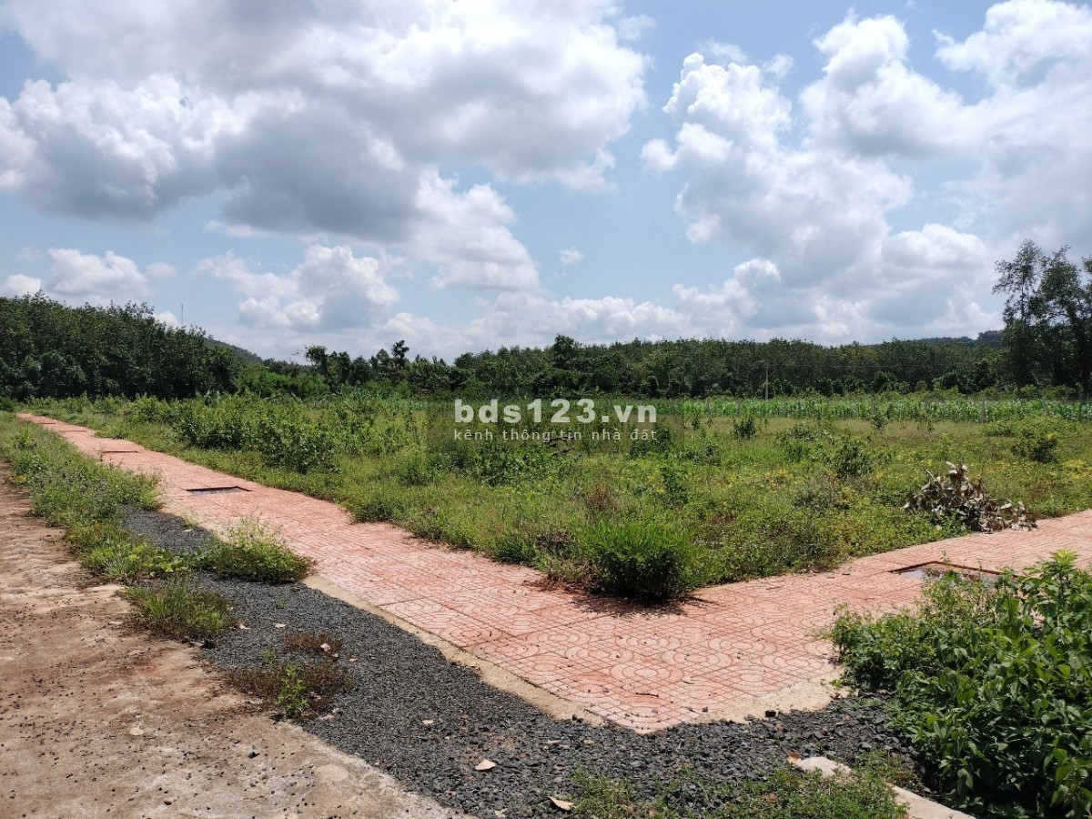 Đất nền Lộc Ninh, Bình Phước giá chỉ 365 triệu liên hệ 0977256446