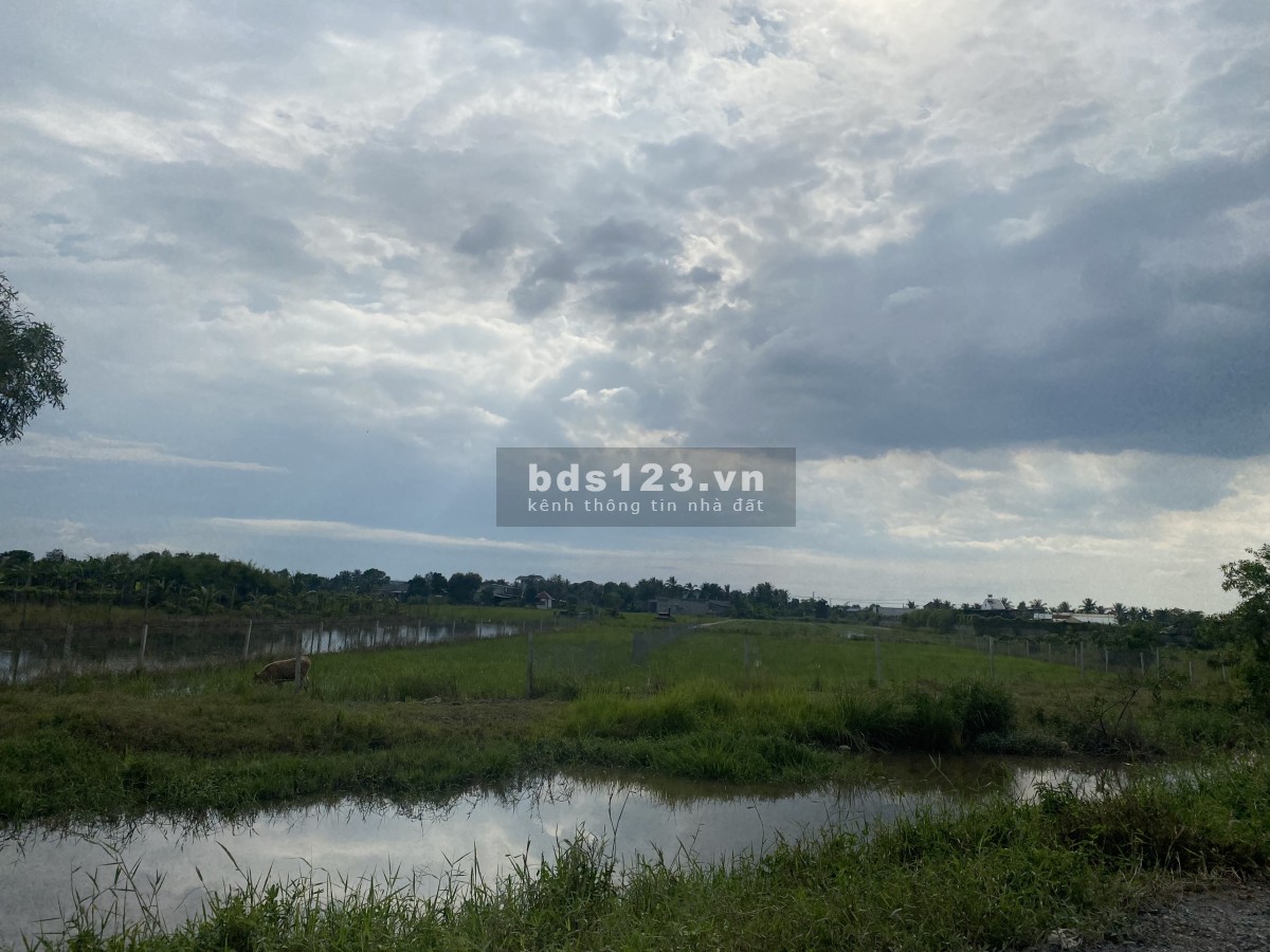 Đất ngay UBND xã Tân Nhựt, Bình Chánh. Giá 3,5tr/m2 sổ đỏ rõ ràng!