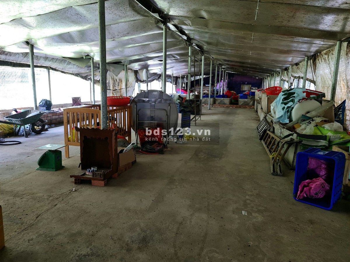 Bán nhà Chính chủ giá rẻ tại xã An Nhơn Tây, huyện Củ Chi để đi định cư