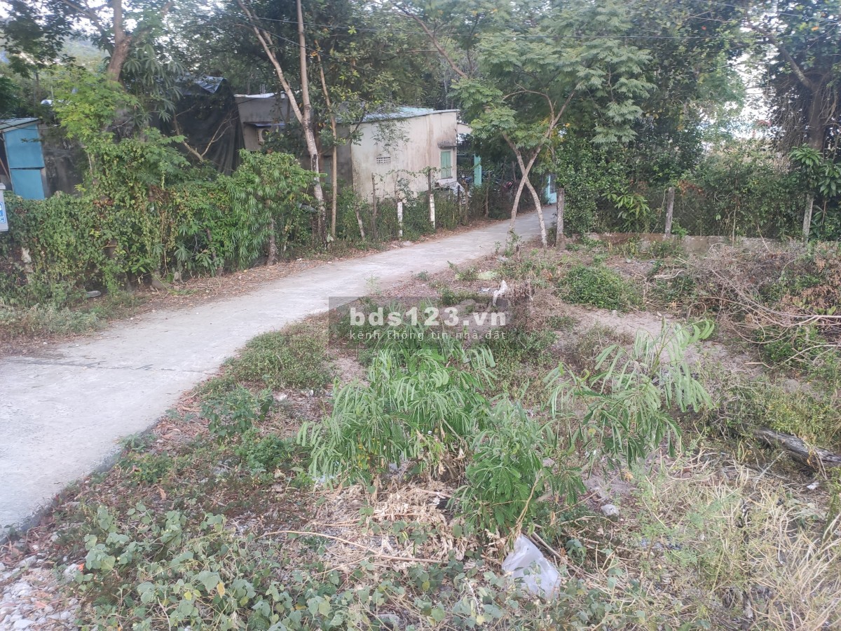 Chính chủ cần tiền bán gấp 2 lô đất biển tại Hoà Hiệp Bắc, Liên Chiểu, Đà Nẵng