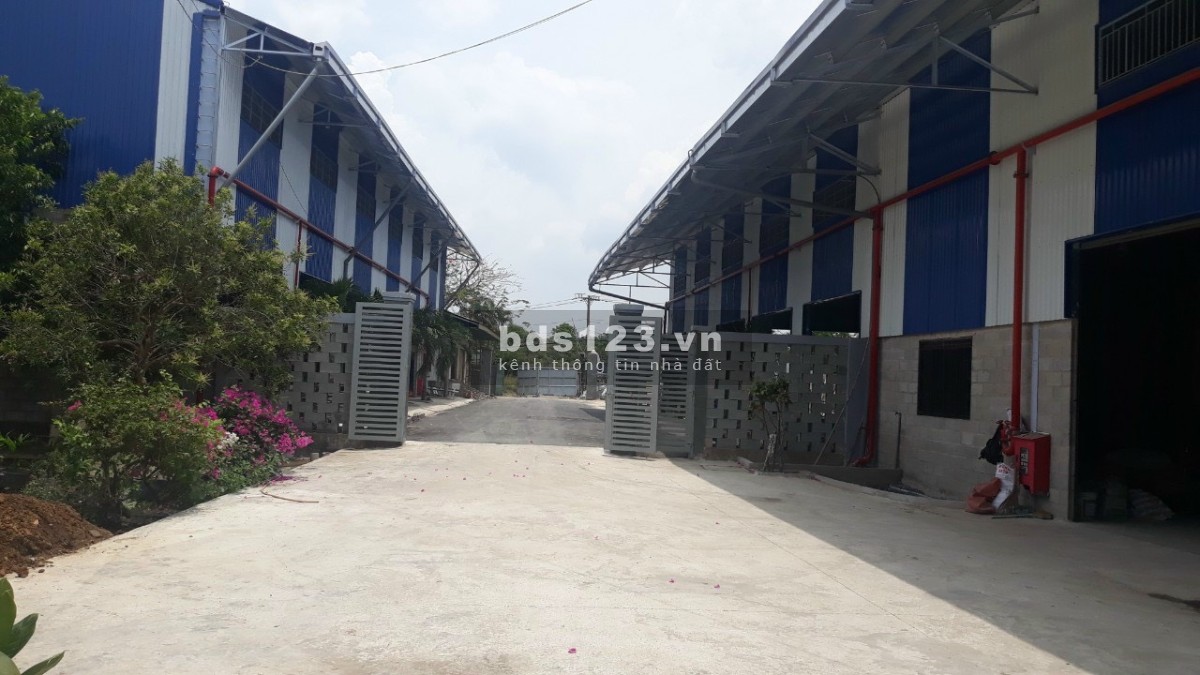 Cho thuê 1000m2 kho kho mặt tiền Quốc Lộ 50, Cần Giuộc, Long An