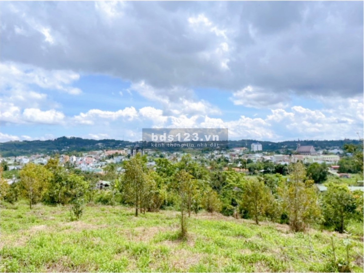 Bán 2 sào xã Đại Lào, có view, ngay chợ, sổ sẵn sang tên ngay