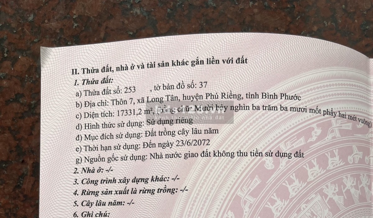 1,73 (heta) rẫy cao su đang cho thu hoạch, sổ hồng riêng, đất vuông vức, bằng phẳng như sân bay