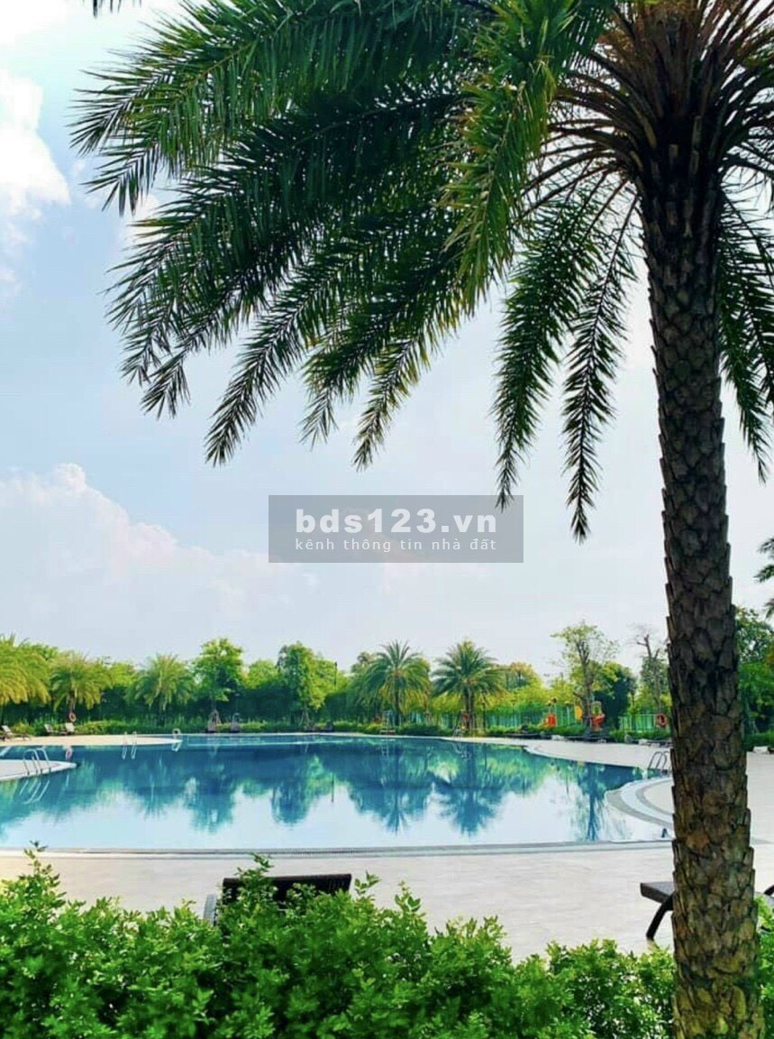 Không thể tin được mua căn hộ vinhome quận 9 chỉ với 500 triệu, nhận nhà ngay tặng full nội thất