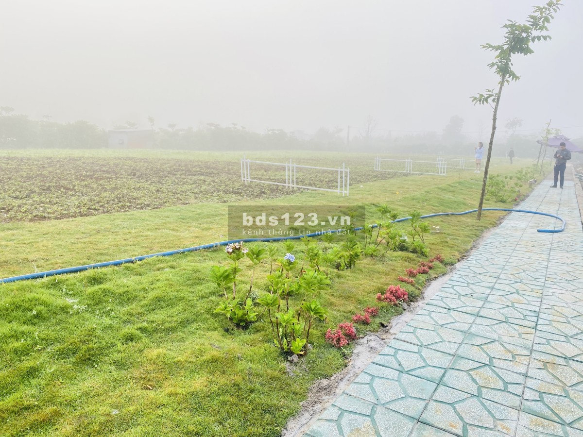 Ưu đãi cực khủng trong tháng 10 Ribik Village Lộc An, Bảo Lộc, view đồi cực đẹp sổ sẵn