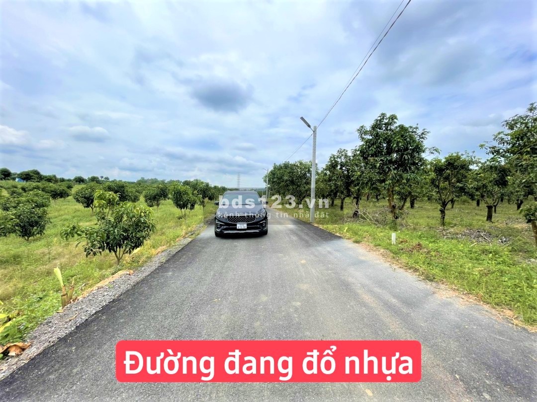 Đất định quán cách đường 101 nam lộ 500m, liền kề khu công nghiệp, quy hoạch đất ở
