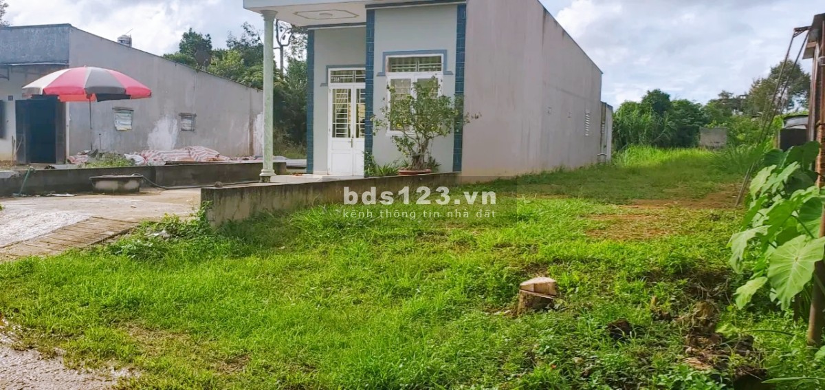 283m2 có thổ 800tr MTĐ Phan Huy Ích, xã Đại Lào, sổ sẵn