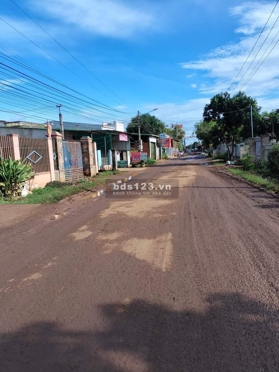 Vợ chồng tôi cần tiền cho con đi du học nên cần bán gấp mảnh vườn 5200m2 giá 530tr.