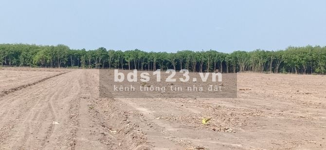 Gia đình định cư nước ngoài - thanh lý tài sản đất vị trí đẹp. Giá từ 480 triệu/nền