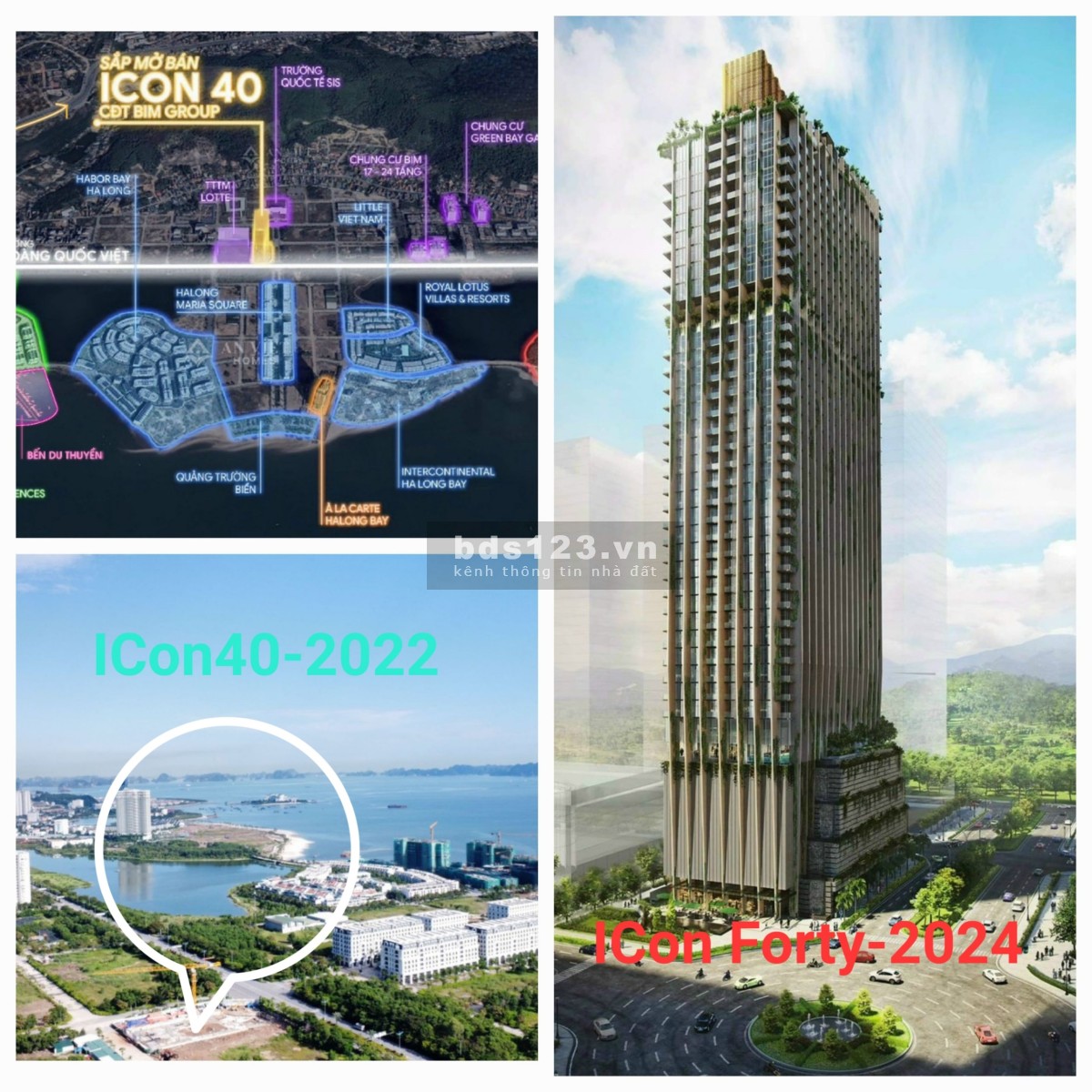 Đầu tư căn hộ cao cấp ICON40 sinh lời tốt - nhiều nguồn thu từ lãi gốc và lãi dòng
