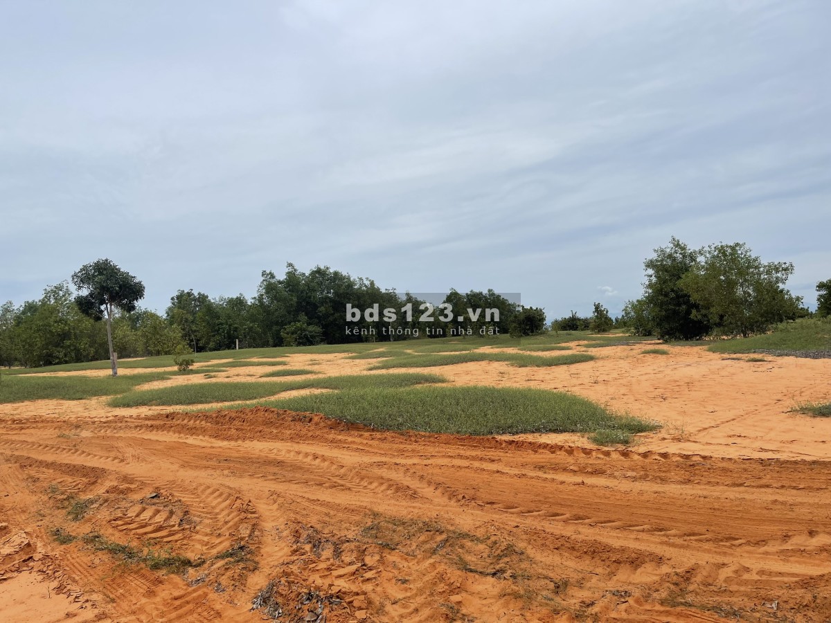 Đất sào mẫu xã Bình Tân, Bình Thuận, chỉ cần trả trước 10 triệu(lãi suất 1%/ tháng)1-20 năm