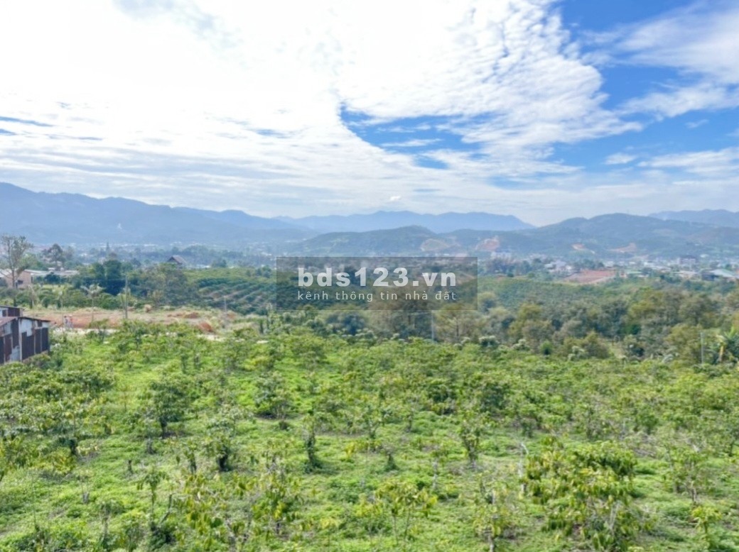 Bán 3,3 sào 1tỉ9 có view thích hợp xây homestay, nghỉ dưỡng, bao sổ