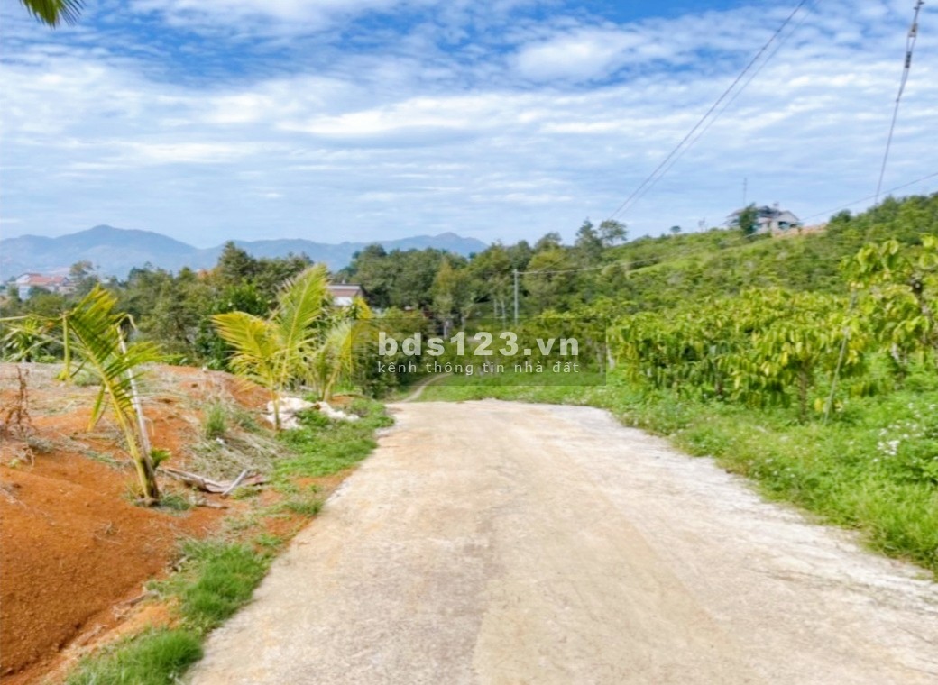 Bán 3,3 sào 1tỉ9 có view thích hợp xây homestay, nghỉ dưỡng, bao sổ