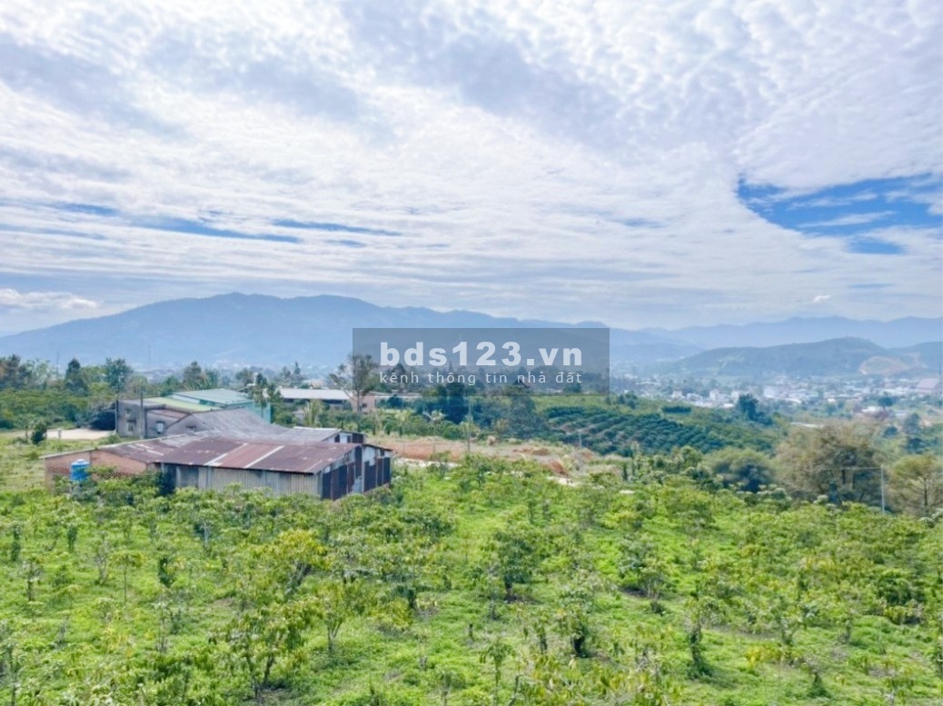 Bán 3,3 sào 1tỉ9 có view thích hợp xây homestay, nghỉ dưỡng, bao sổ