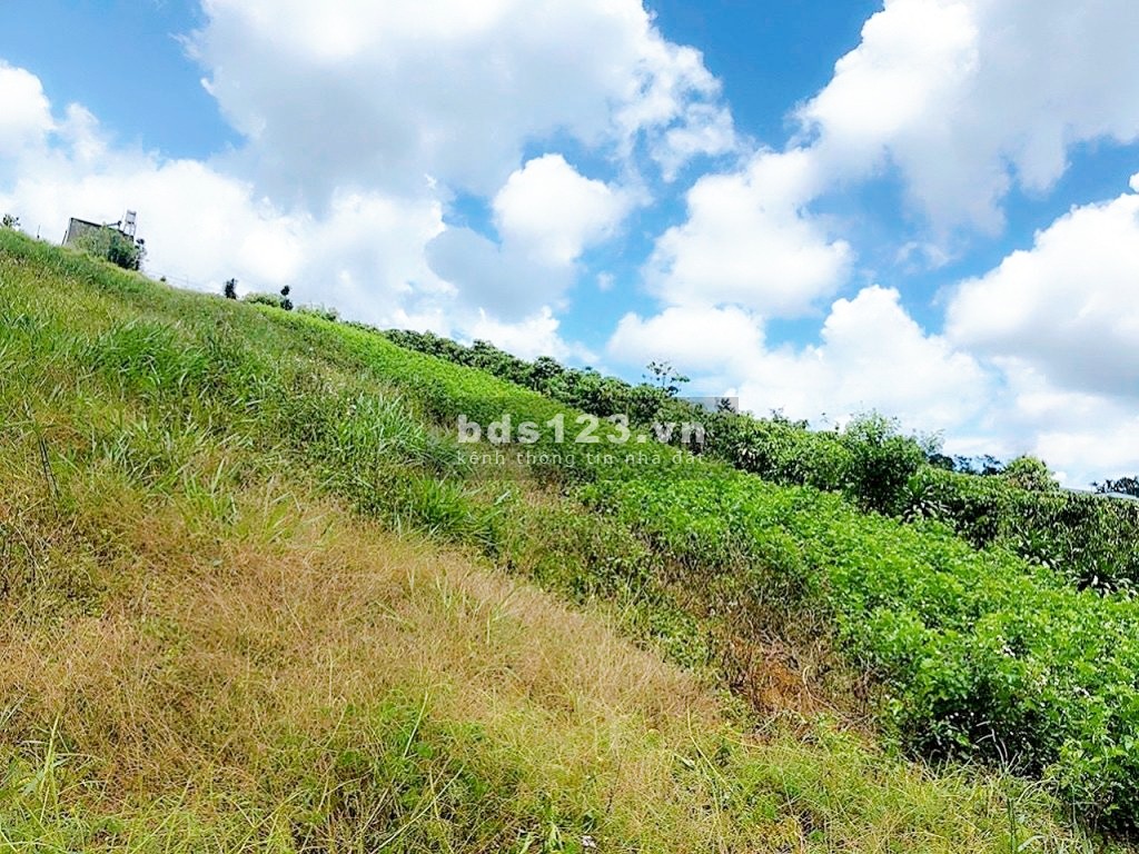 Bán nhanh 1 sào xã Đambri, view nghỉ dưỡng, 1tỷ4 buông sổ