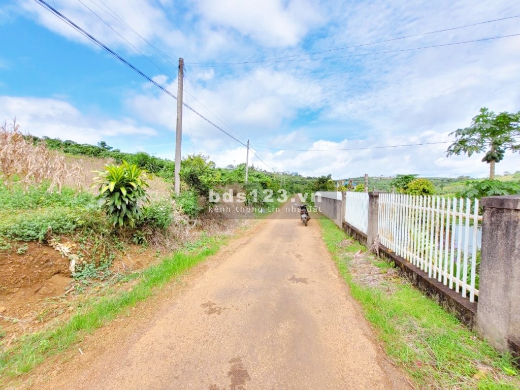 Bán nhanh 1 sào xã Đambri, view nghỉ dưỡng, 1tỷ4 buông sổ