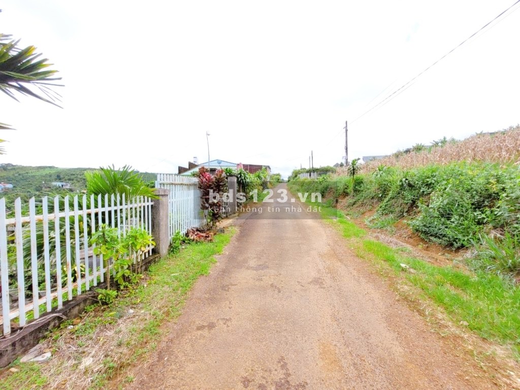 Bán nhanh 1 sào xã Đambri, view nghỉ dưỡng, 1tỷ4 buông sổ