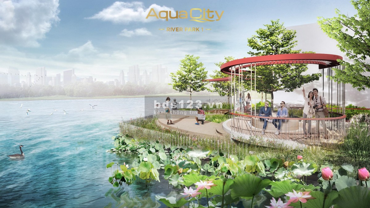 Cơ hội hiếm có để sở hữu một căn nhà đáng mơ ước tại siêu dự án Aqua City
