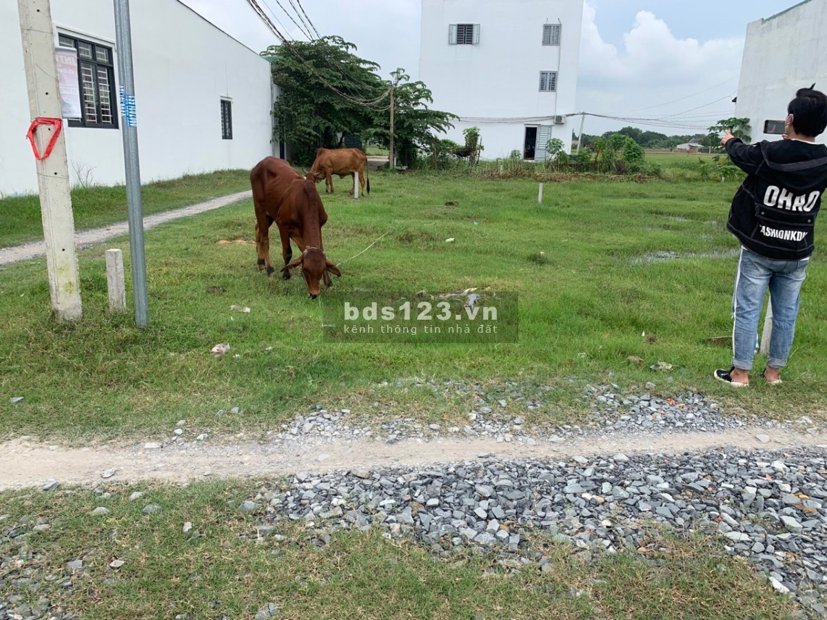 Bán đất Đức Hòa - Long An, giá 1 tỷ 450, sổ hồng riêng, bao sang tên