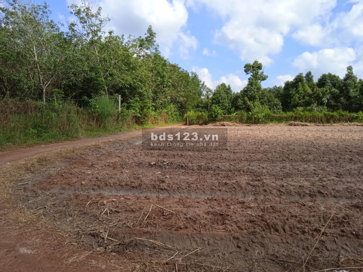Cần bán lô đất Minh Thạnh Dầu Tiếng Bình Dương liên hệ 0908804310