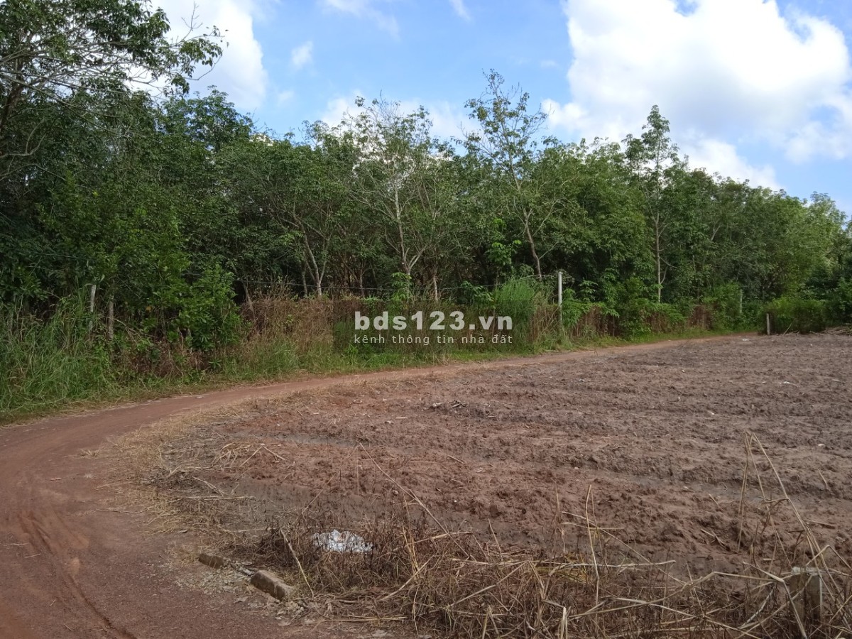 Cần bán lô đất Minh Thạnh Dầu Tiếng Bình Dương liên hệ 0908804310