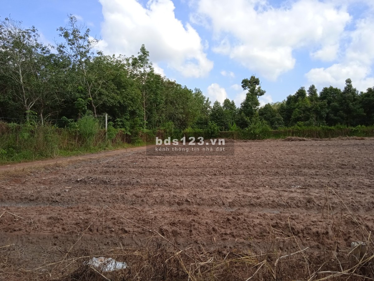 Cần bán lô đất Minh Thạnh Dầu Tiếng Bình Dương liên hệ 0908804310