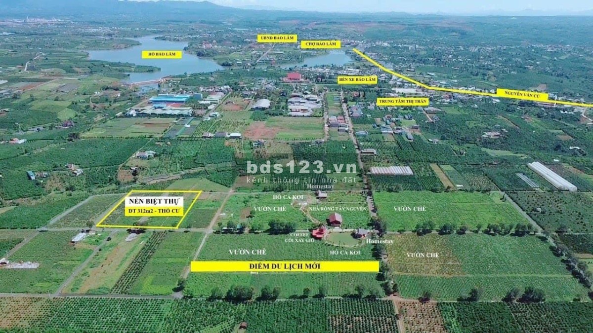 The Ocha đất nghỉ dưỡng Bảo Lộc, liên hệ 036.5555.667 view đẹp