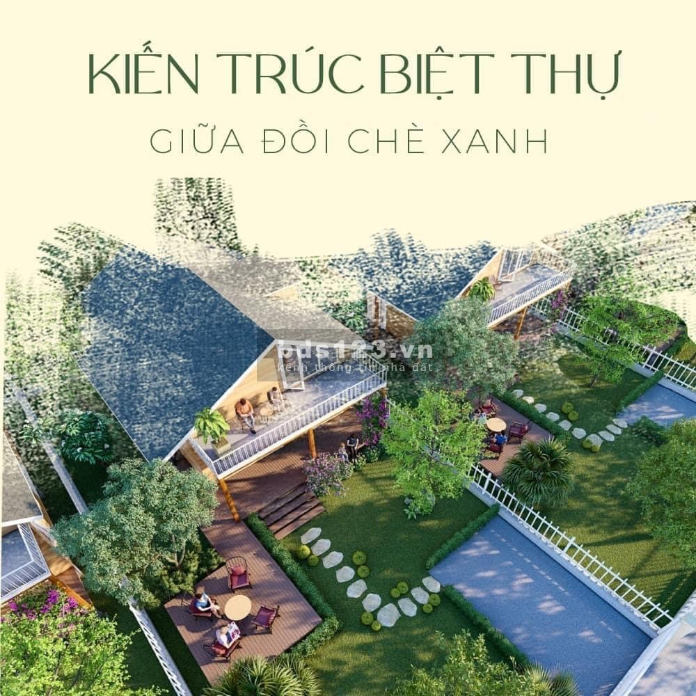 The Ocha đất nghỉ dưỡng Bảo Lộc, liên hệ 036.5555.667 view đẹp