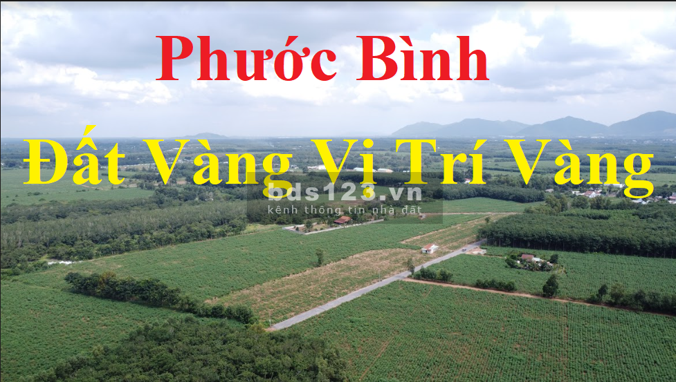 Đất sào Phước Bình - Chủ bán 1000m2 CLN khu Trung Tâm Hành Chính Xã Phước Bình