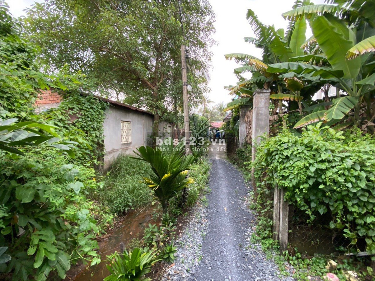 Bán lô đất thổ cư hẻm ba gác đường Vườn Lài, phường An Phú Đông, quận 12 LH 0939824532