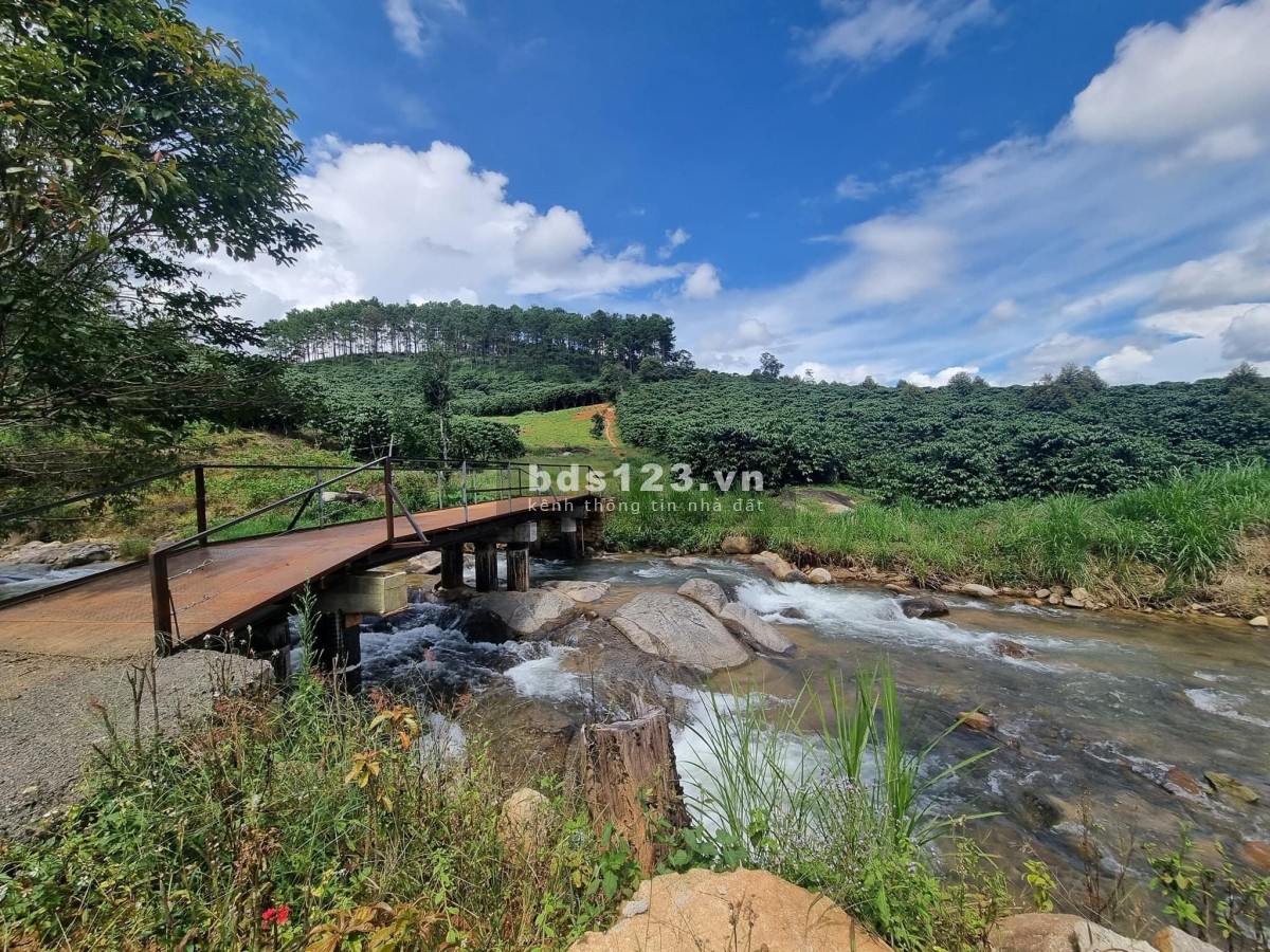 Bán gấp 2 lô liền kề view đồi cực đẹp