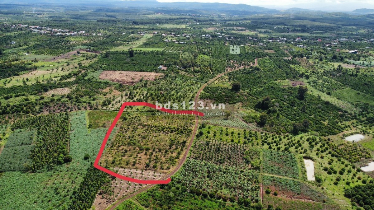Bán đất gần Ql29 full hồng giá rẻ tại xã Ea Dar Krông Năng Daklak