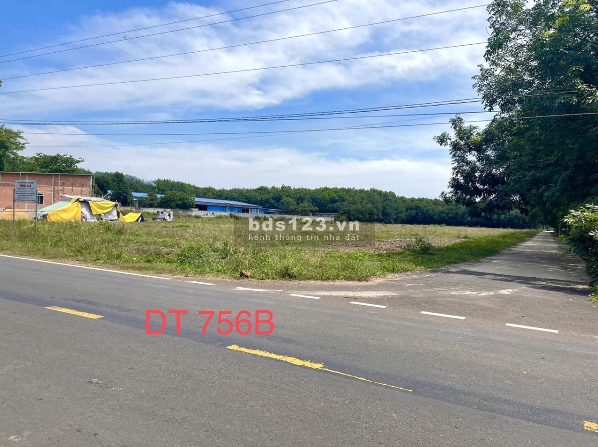 Bán đất chính chủ có sổ sắn giá rẻ diện tích 1000m2, khu vực Chơn Thành, Bình Phước