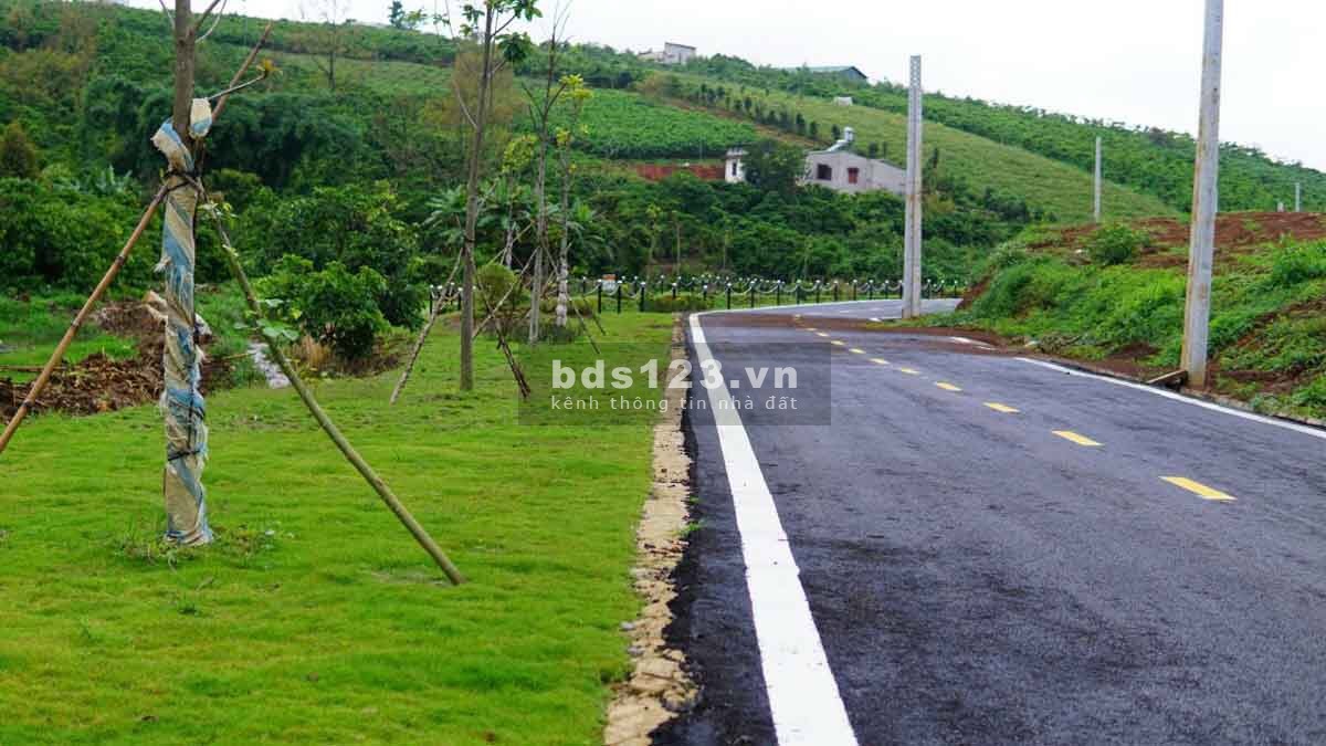 Bán gấp 2 lô liền kề view đồi cực đẹp