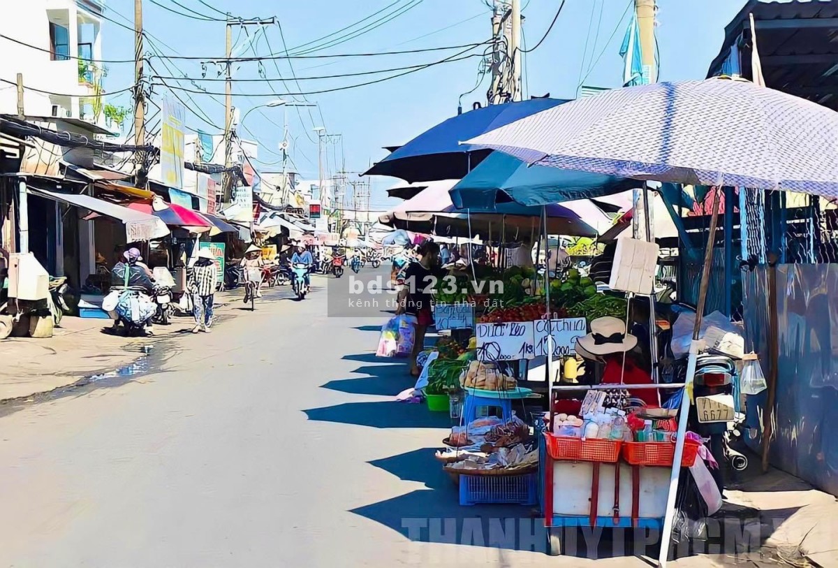 Chính chủ bán gấp 1000m2 đất Củ Chi giá rẻ Tỉnh Lộ 7 giá rẻ sổ hồng riêng
