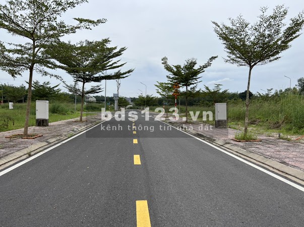Cần bán lô đất khu công nghiệp Tân Bình, cổng xanh sổ sẵn, giá tốt