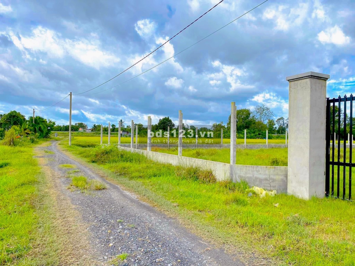 Chính chủ bán gấp 1000m2 đất Củ Chi giá rẻ Tỉnh Lộ 7 giá rẻ sổ hồng riêng