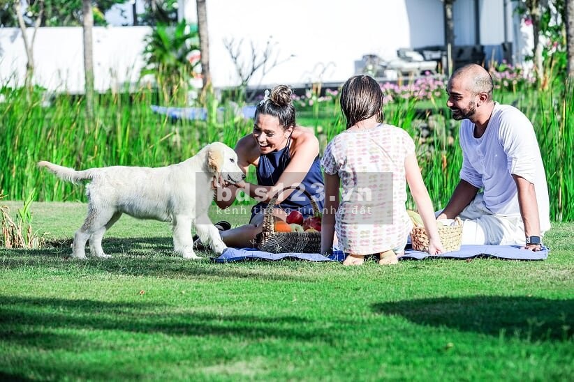 HOT! Bán Biệt Thự Biển Sanctuary Hồ Tràm chỉ 17 tỷ 3PN view hồ cực đẹp nội thất cao cấp