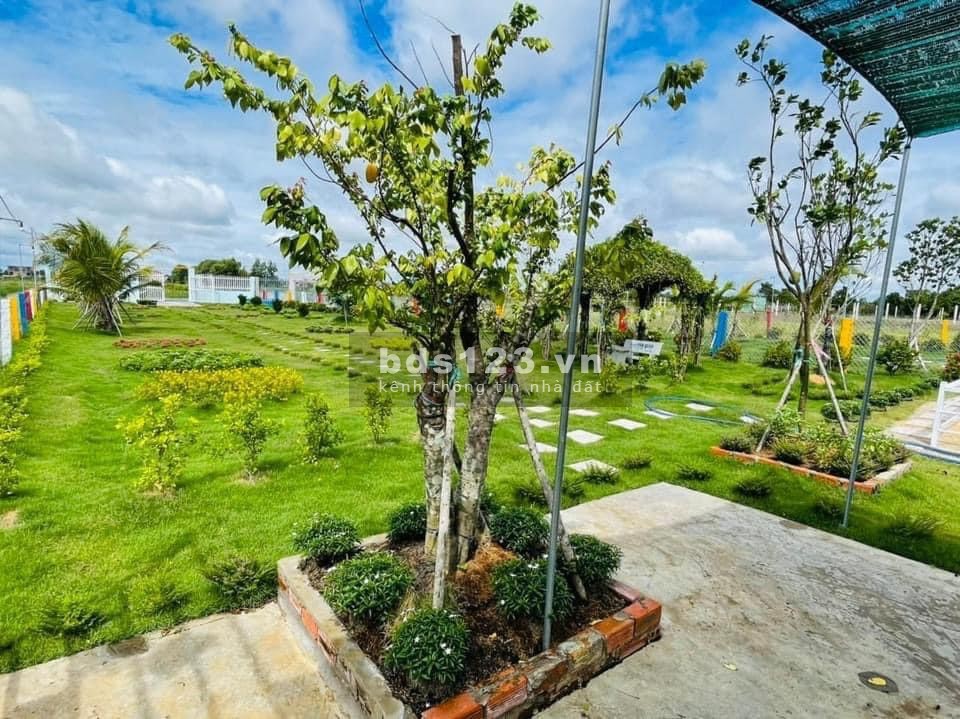 Chính chủ bán gấp 1000m2 đất Củ Chi giá rẻ Tỉnh Lộ 7 giá rẻ sổ hồng riêng