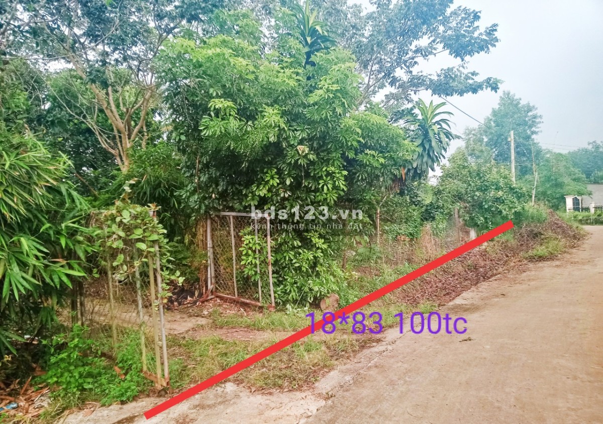 Chính chủ bán đất tặng nhà chỉ 1.6 triệu/m2, ngay trung tâm huyện Bù Đốp, Bình Phước