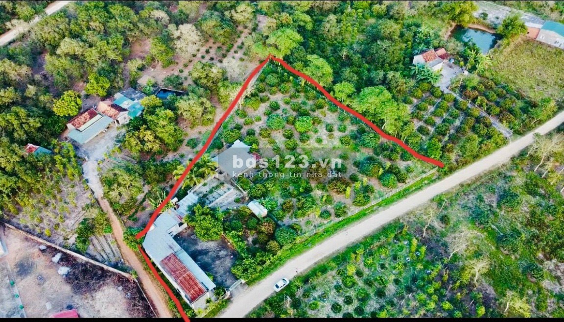 Chỉ còn 2 lô dt 60m2, thổ cư có vườn, Chơn Thành đường rộng 20m, giá chỉ 420 triệu lh 0901775755