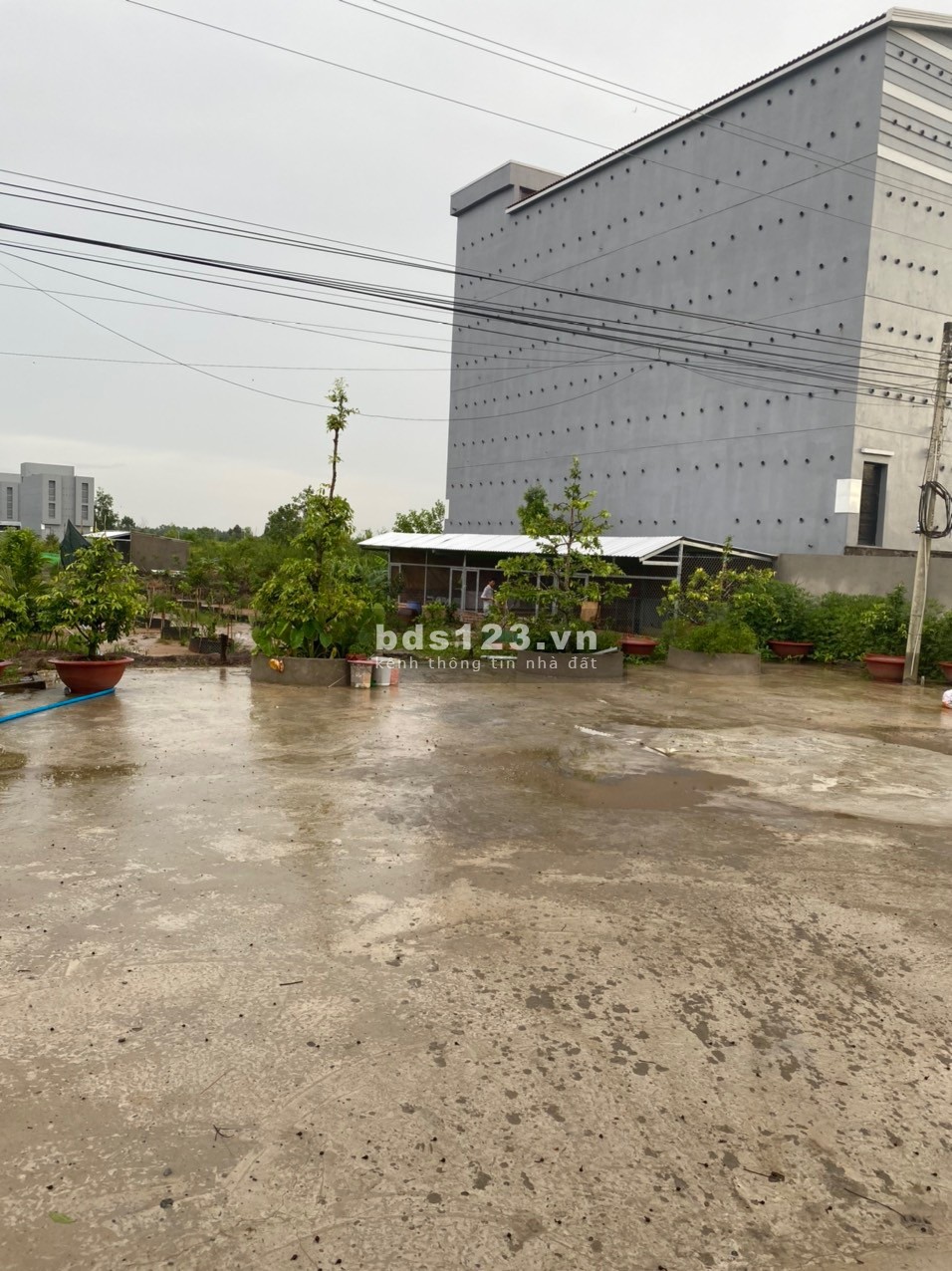 Chính chủ bán nhà đất diện tích 8800m2 nằm trên đường huyện lộ 40 xe hơi chạy đến đất