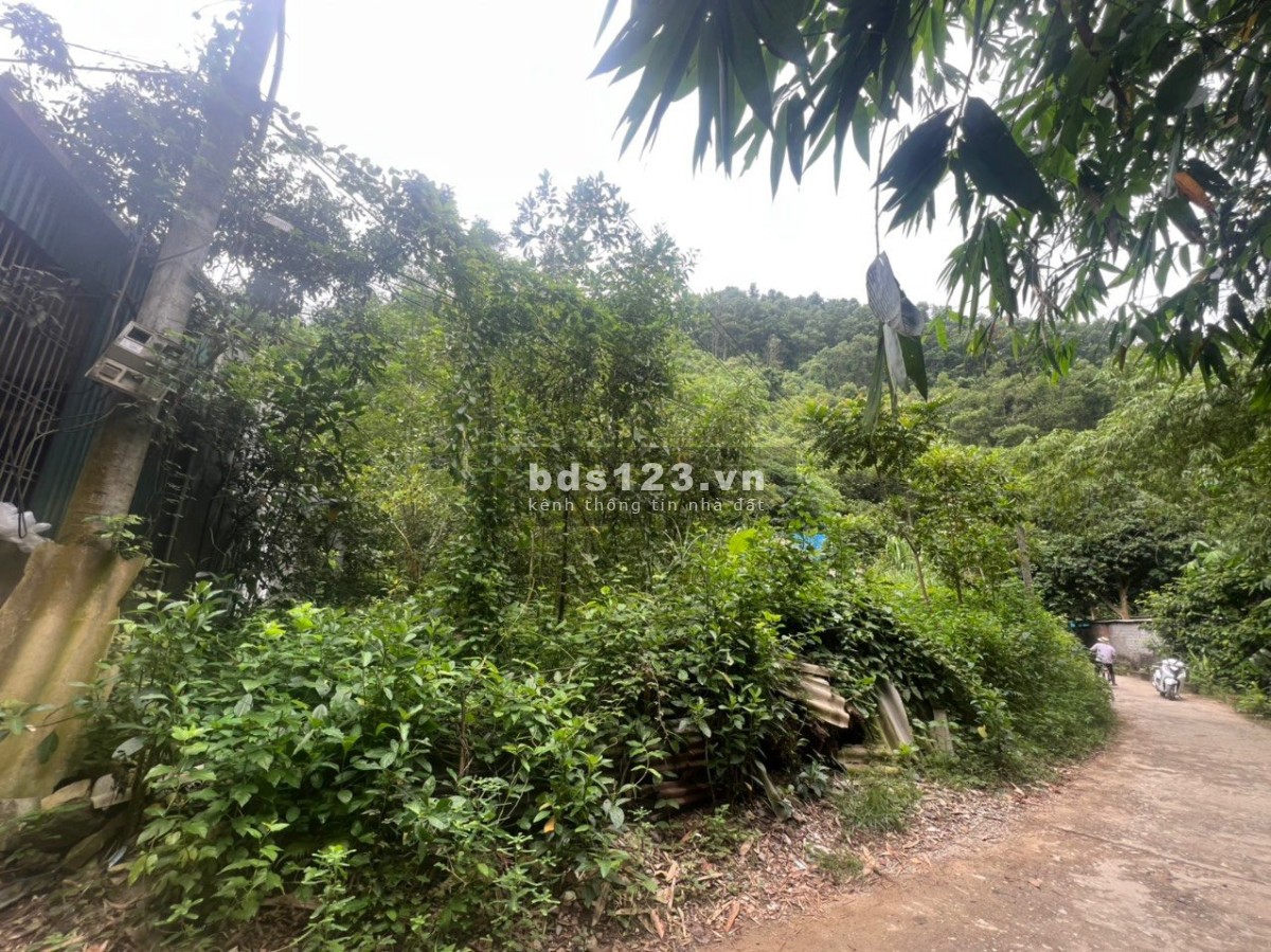Chính chủ cần bán đất ở, đất trồng cây lâu năm, giá thương lượng