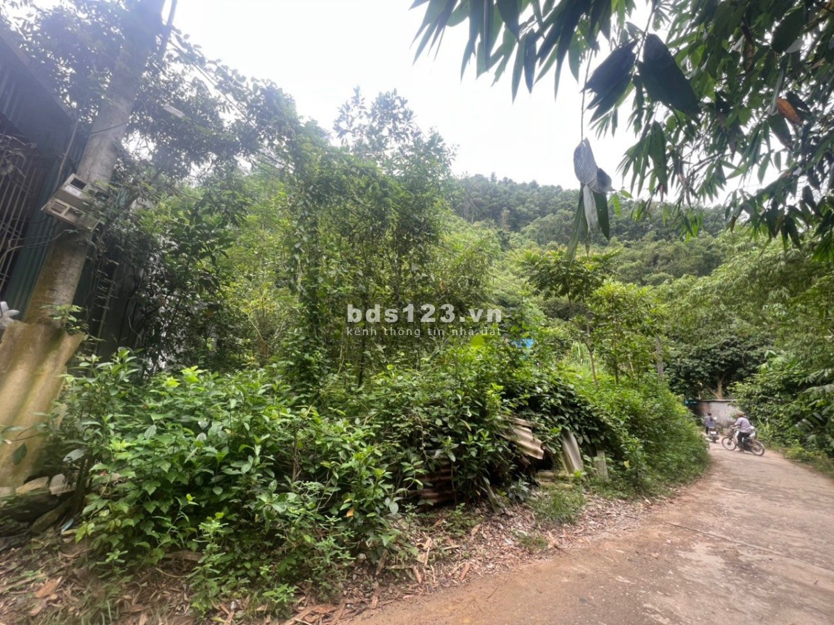 Chính chủ cần bán đất ở, đất trồng cây lâu năm, giá thương lượng
